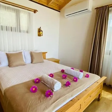 Sofia Sea And Nature Wiev Villa Fethiye